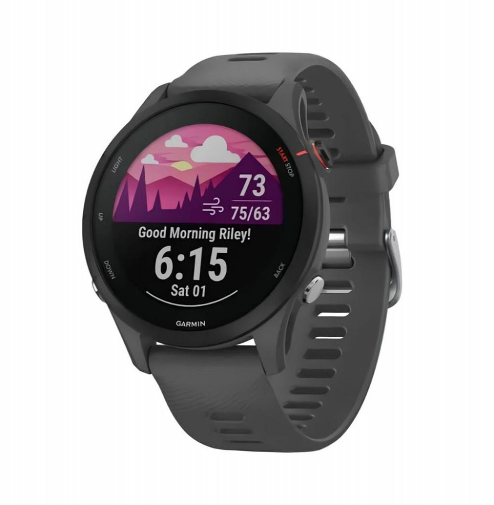 Relógio Garmin Forerunner 255 Basic Slate Gray 